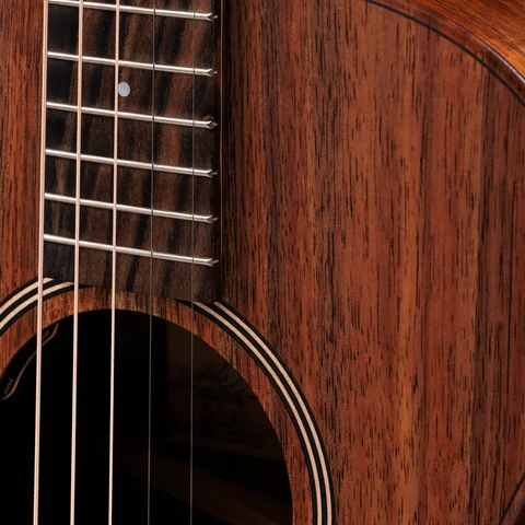 Jacob Collier Signature Model 5-String