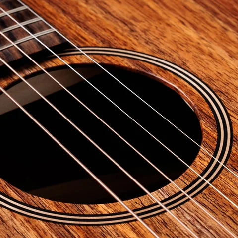 Jacob Collier Signature Model 5-String