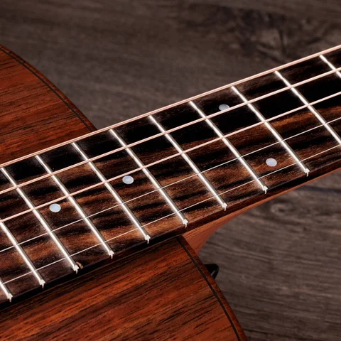 Jacob Collier Signature Model 5-String