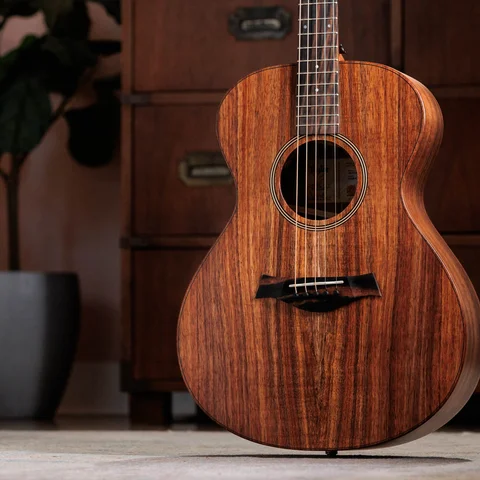 Jacob Collier Signature Model 5-String