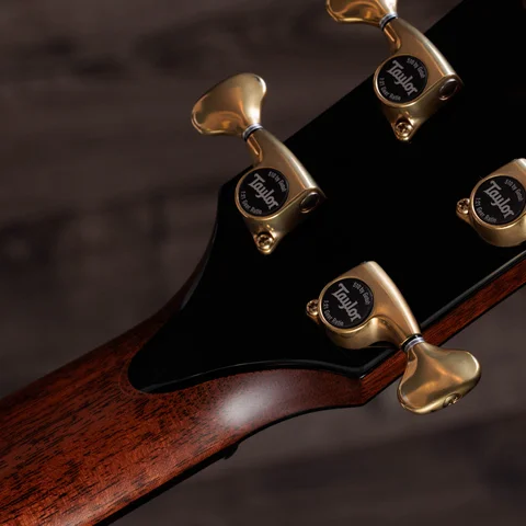 Builder's Edition 914ce LTD Macassar Ebony