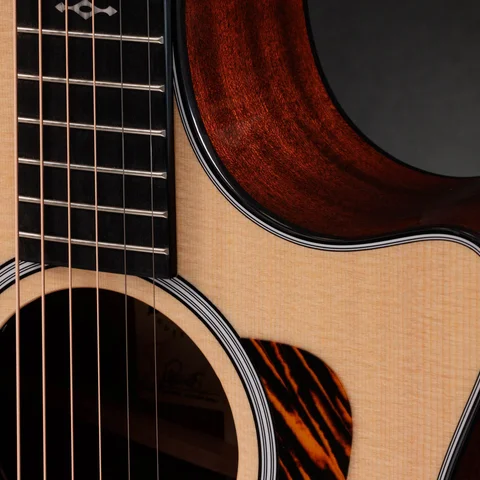 Next Generation 314ce