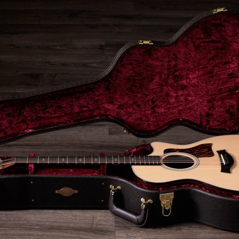 2024年の新アコースティックギター | Taylor Guitars