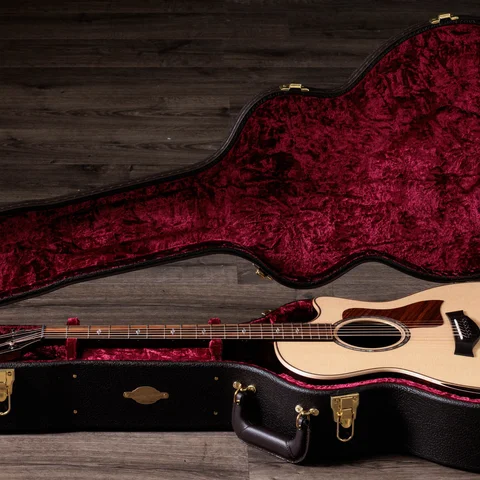 2024年の新アコースティックギター | Taylor Guitars
