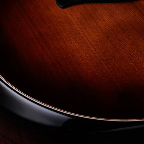 Next Generation Builder's Edition 814ce Honduran Rosewood/Sinker Redwood