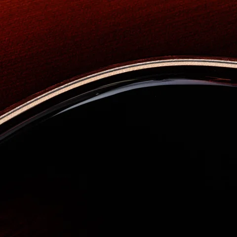 Next Generation Builder's Edition 814ce Honduran Rosewood/Sinker Redwood