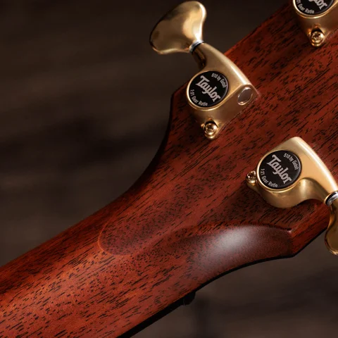 Next Generation Builder's Edition 814ce Honduran Rosewood/Sinker Redwood