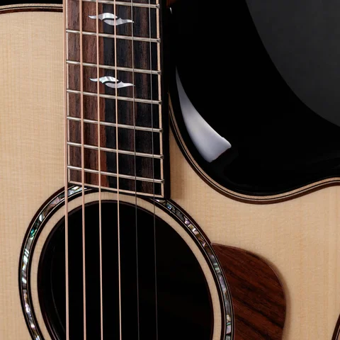 Next Generation Builder's Edition 814ce Indian Rosewood/Adirondack Spruce