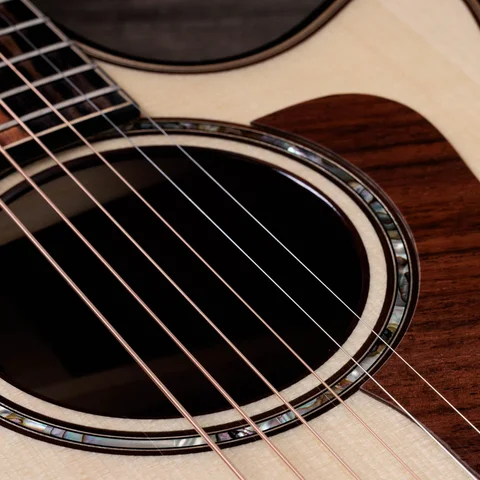 Taylor Guitars | ギターとアクセサリーを買う