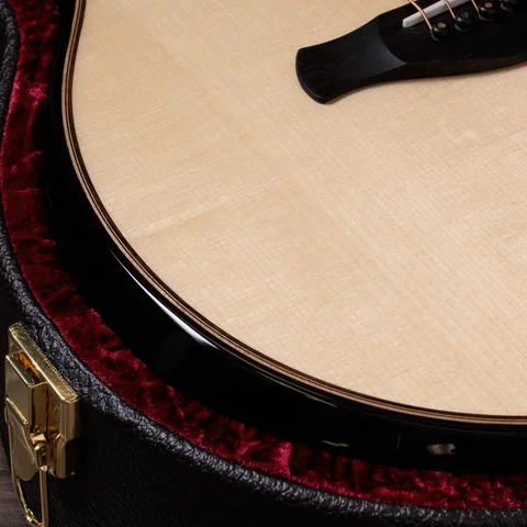 Next Generation Builder's Edition 814ce Indian Rosewood/Adirondack Spruce