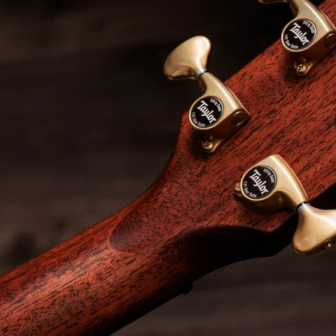 Next Generation Builder's Edition 814ce Indian Rosewood/Adirondack Spruce