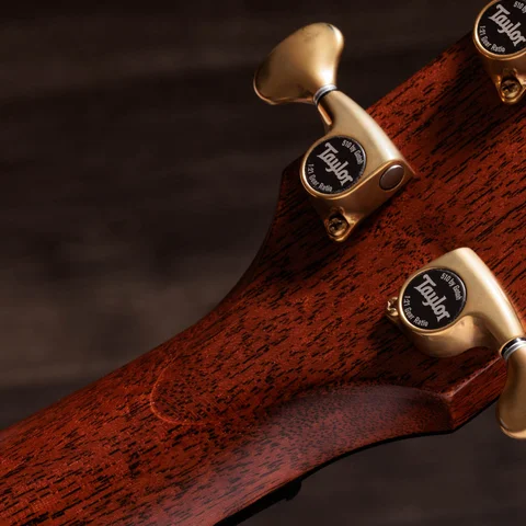 Next Generation Builder's Edition 814ce Indian Rosewood/Adirondack Spruce Blacktop