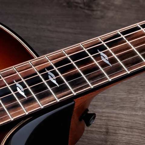 Builder's Edition 814ce LTD Macassar Ebony