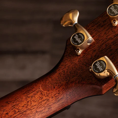 Builder's Edition 814ce LTD Macassar Ebony