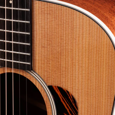 ドレッドノート・アコースティックギターの形状 | Taylor Guitars