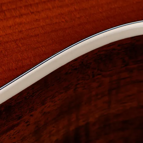 214ce-K DLX Special Edition Honeyburst