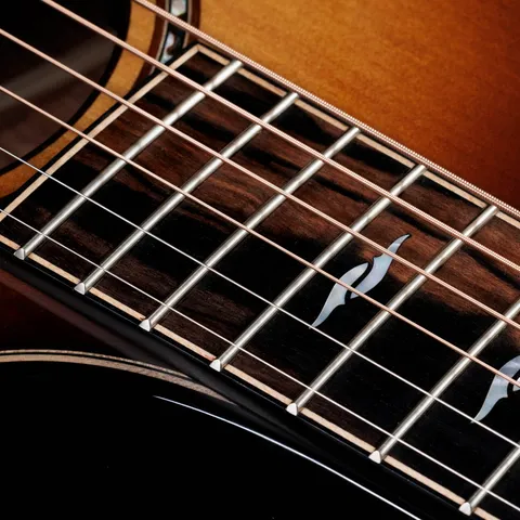 Next Generation Builder's Edition 814ce Honduran Rosewood/Adirondack Spruce