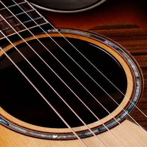 Next Generation Builder's Edition 814ce Honduran Rosewood/Adirondack Spruce