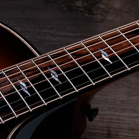 Next Generation Builder's Edition 814ce Honduran Rosewood/Adirondack Spruce