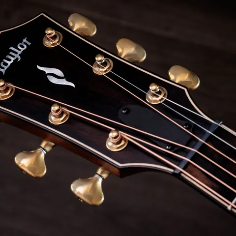 Next Generation Builder's Edition 814ce Honduran Rosewood/Adirondack Spruce