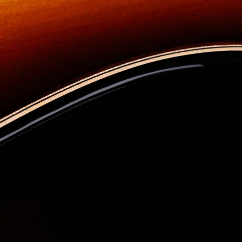 Next Generation Builder's Edition 814ce Honduran Rosewood/Adirondack Spruce