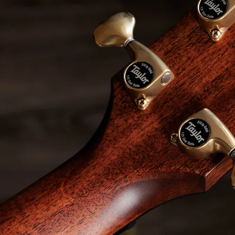 Next Generation Builder's Edition 814ce Honduran Rosewood/Adirondack Spruce