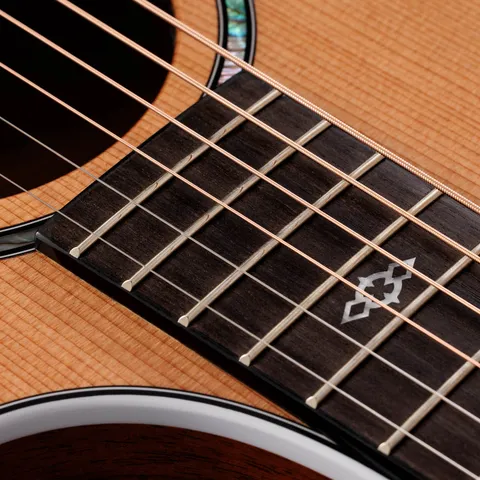 500 Series アコースティックギター | Taylor Guitars