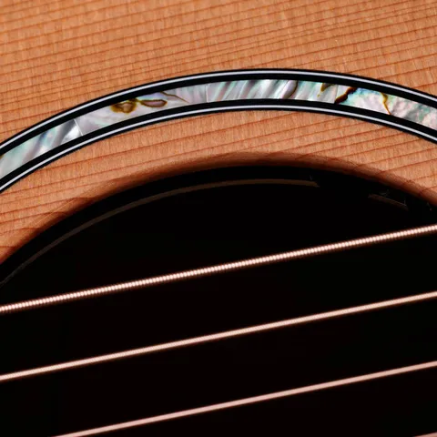 500 Series アコースティックギター | Taylor Guitars