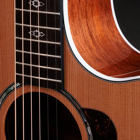 Taylor810 アコースティックギター 2024年の新アコースティックギター | Taylor Guitars