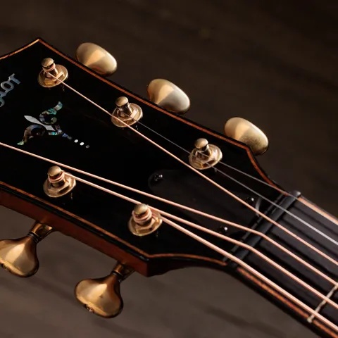 900 Series アコースティックギター | Taylor Guitars