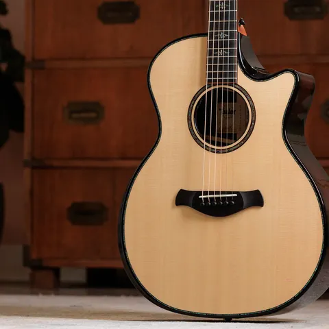 900 Series アコースティックギター | Taylor Guitars