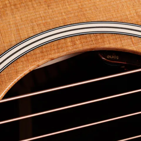 Gold Label Collection | Taylor Guitars