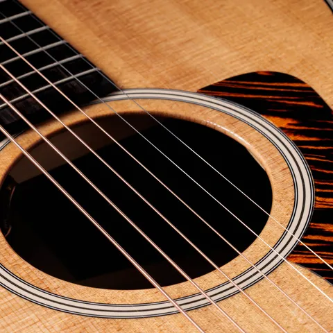 ゴールドラベルコレクション | Taylor Guitars