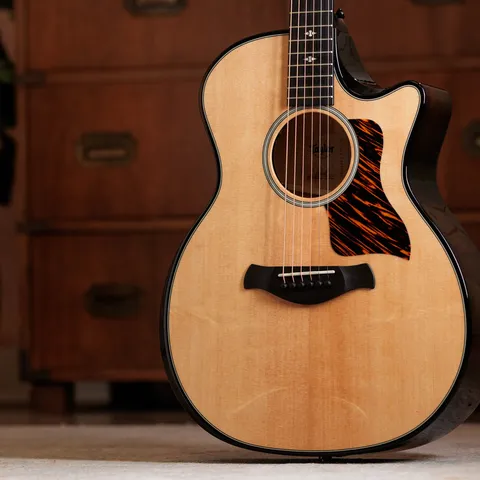 500 Series アコースティックギター | Taylor Guitars