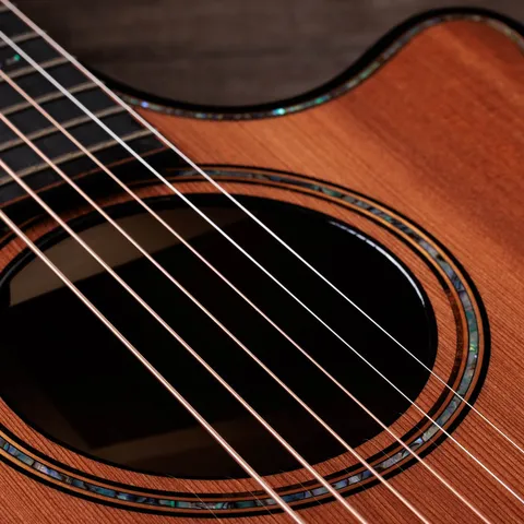 Next Generation Builder's Edition 914ce Honduran Rosewood/Sinker Redwood