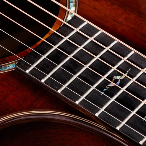 コア シリーズアコースティックギター | Taylor Guitars