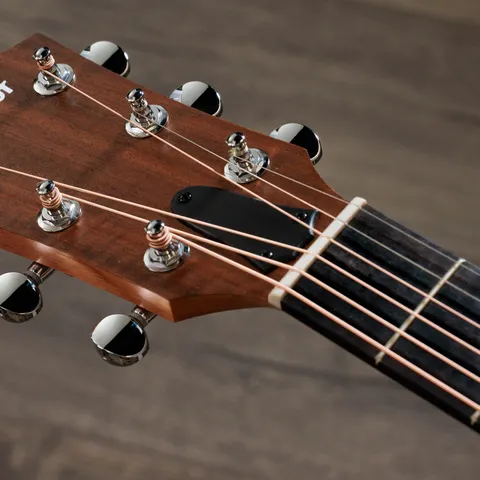2024年の新アコースティックギター | Taylor Guitars