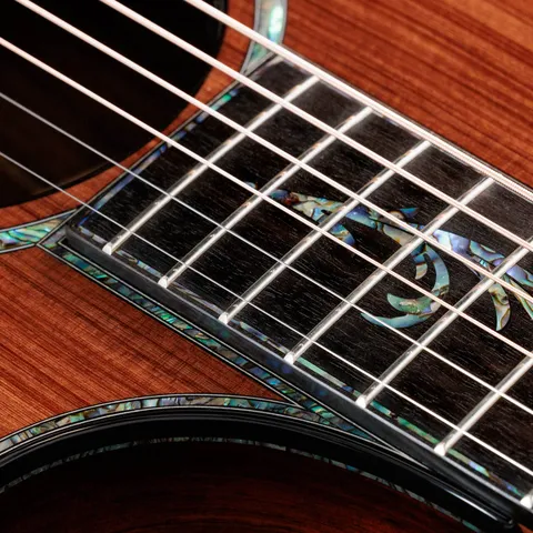 Next Generation PS12ce 12-Fret