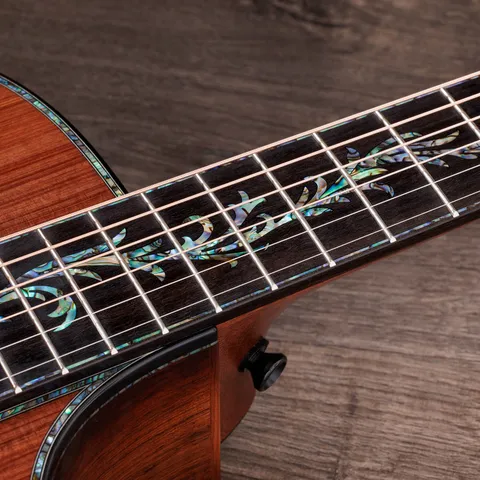 Next Generation PS12ce 12-Fret