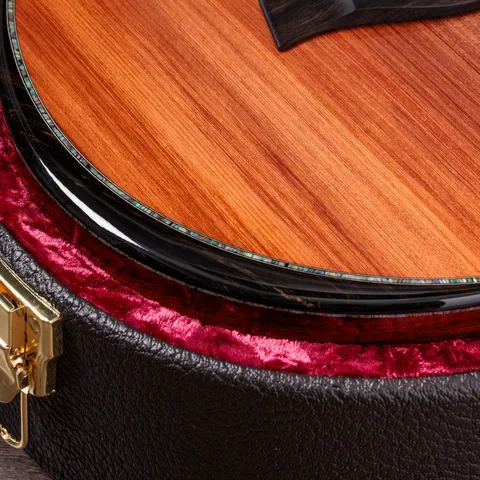 Next Generation PS12ce 12-Fret