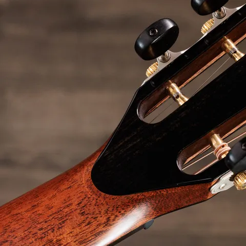 Next Generation PS12ce 12-Fret