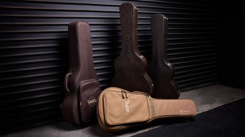 Cases and Gig Bags Overview | Taylor Guitars