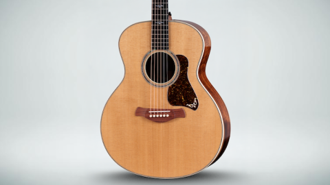 Taylor Guitars トップ単板、コルトセミジャンボ アコースティック