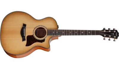 Taylor-514ce-FrontLeft-2022