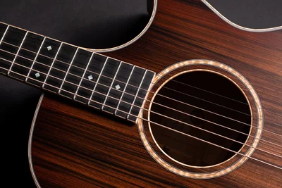 Taylor Customs Program