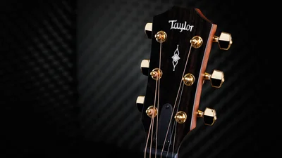 50th Anniversary Collectionアコースティックギター | Taylor Guitars