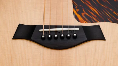 50th Anniversary Collectionアコースティックギター | Taylor Guitars