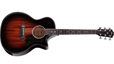 トロピカル・マホガニー | Taylor Guitars