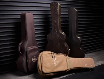 ミニギター： GS Mini シリーズ | Taylor Guitars