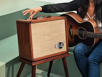 Taylor Guitars | ギターとアクセサリーを買う